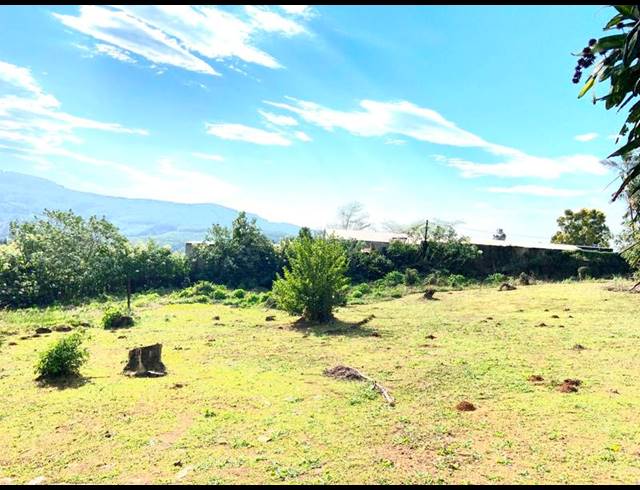 4 BEDROOM HOUSE FOR SALE IN MONTROSE